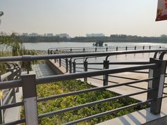 -大兴滨河森林公园