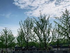 -天一阁博物院