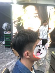 -藤野造型•烫染专业店