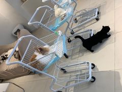 -怪兽屋·羊驼·猫咖·狗咖(俊华广场店)