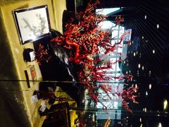 iphone_upload_pic-绮丽珊瑚(台北101旗舰门市店)