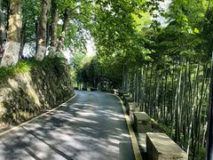 -莫干山风景区