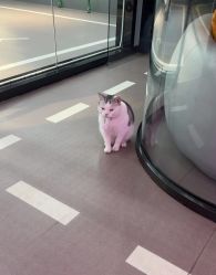 -CICI街舞专业培训