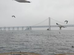 -星海湾跨海大桥