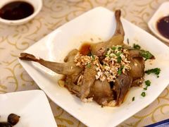 -百利鸽王(紫薇路店)