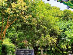 -莲湖公园