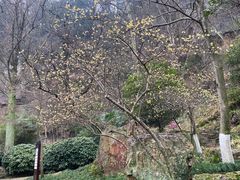 -狼山风景名胜区