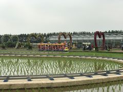 -迪茵湖田家舍生态农场