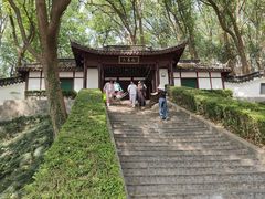 -上海佘山国家森林公园天马山园