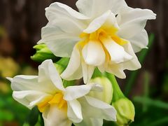 -共青国家森林公园-售票处