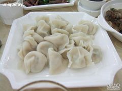鲅鱼饺子-海岛渔村大酒店(云霄路店)