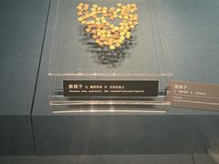 -亳州博物馆