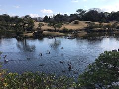 -水前寺成趣园
