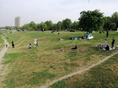 -灞河西岸滨河公园