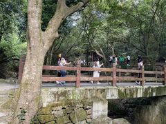 -水濂山森林公园