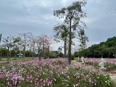 -广东花都香草世界旅游度假区