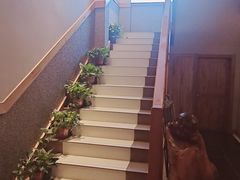 -鸥迪足道(湖南示范店)