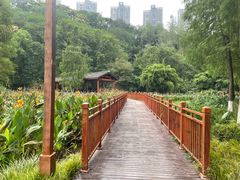 -重庆彩云湖湿地公园