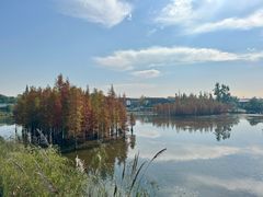 -白鹭湾湿地公园