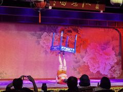 -盖碗儿梨园·变脸吐火·川剧(天府广场店)