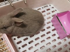 -雨林宠物医院 非犬猫异宠专科