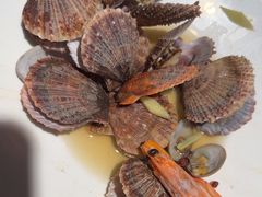 -悦海·家宴·冰花皮皮虾大锅贴(宝龙店)