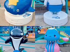 -海合安成都极地海洋公园