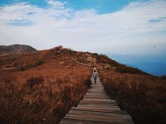 -白草畔自然风景区