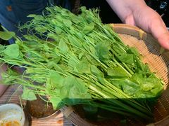 -毛辣果·酸