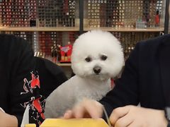 -阿马蛋汤·宁波小海鲜(总店)