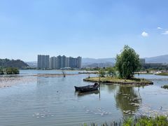 -洱海月湿地公园