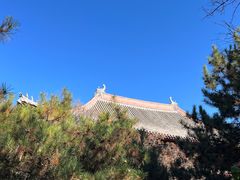 -善化寺