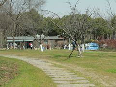-贡湖湾湿地公园