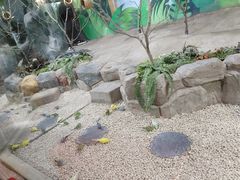 -秦皇岛新澳海底世界