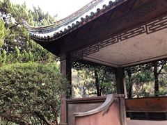 -叶家花园