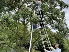 -非烤勿扰韩料自助烤肉(松山湖万科店)