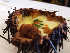 野生海胆蒸蛋-开海·红岛海鲜虾水饺(石老人店)