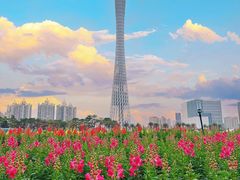 -广州塔