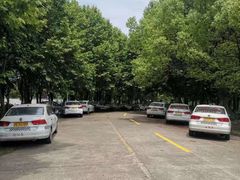 -胜华驾校·小猫学车(银都店)