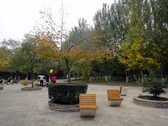 -长白岛森林公园