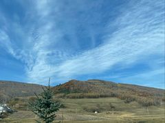 -塞罕坝国家级自然保护区