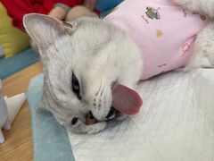 -美迦爱-牙专科·兔科·骨科诊疗中心(北苑店)