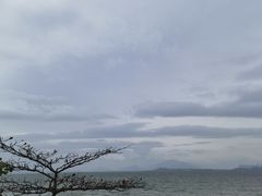 -深圳湾公园(南山区)