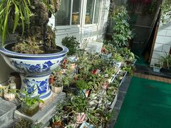 -静莲斋(仙人洞店)