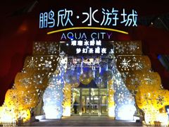 -鹏欣水游城