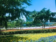 -西北湖绿化广场