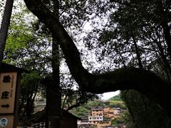 -杨家堂村