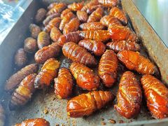 -老三李村河底戳子肉(总店)