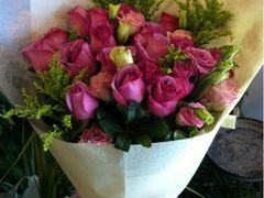 -静岸花卉园艺(三星坊店)