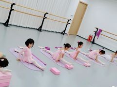 -中央芭蕾舞团·中芭艺蕾(酒仙桥明星校区)